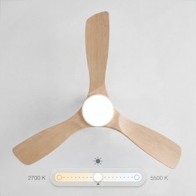 Ventilatore da soffitto FLOW22